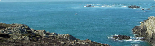 Pilgrim