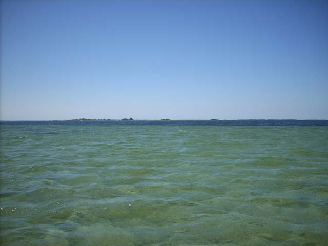 DSCN0177