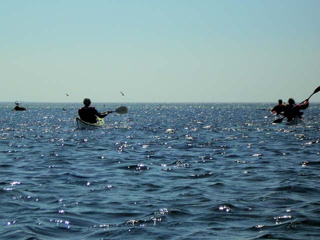 DSCN0191a