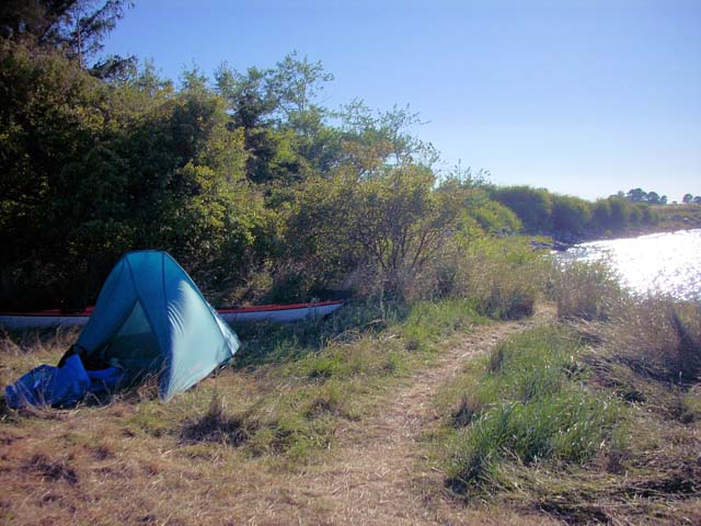 DSCN0232a