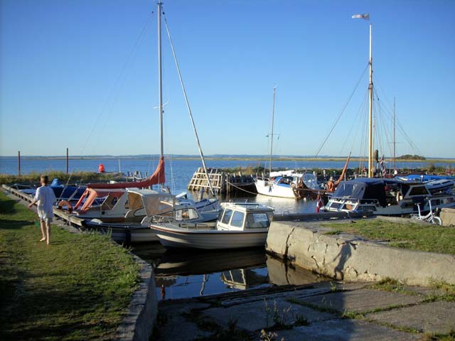 DSCN0239a