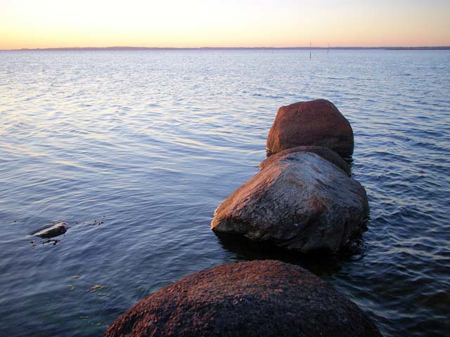 DSCN0242a