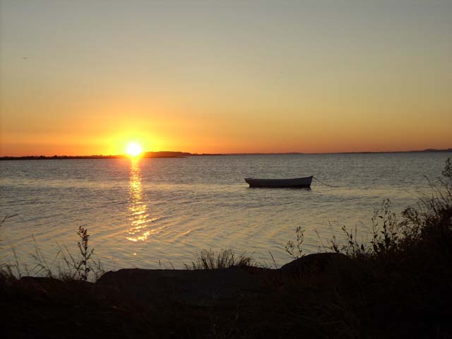 DSCN0245