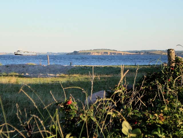 DSCN0283a
