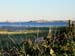DSCN0283a