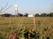 DSCN0285a