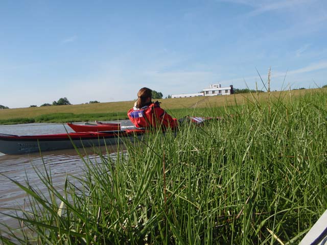 nanuk ostfriesland und Fedd. 106