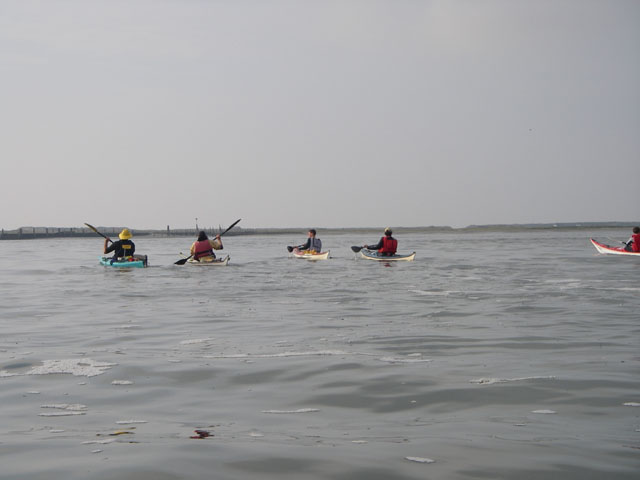 IMGP0036
