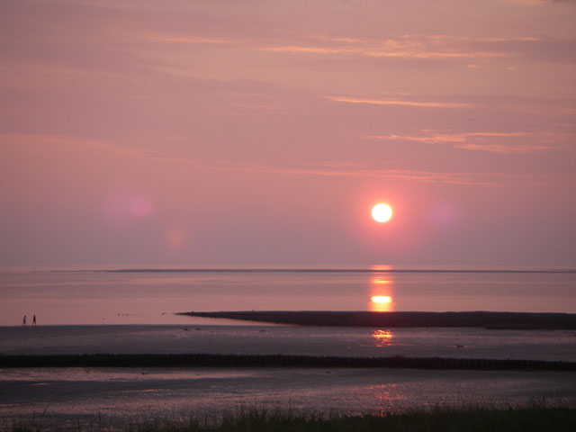 IMGP0057