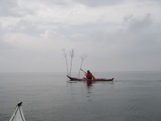 IMGP0071