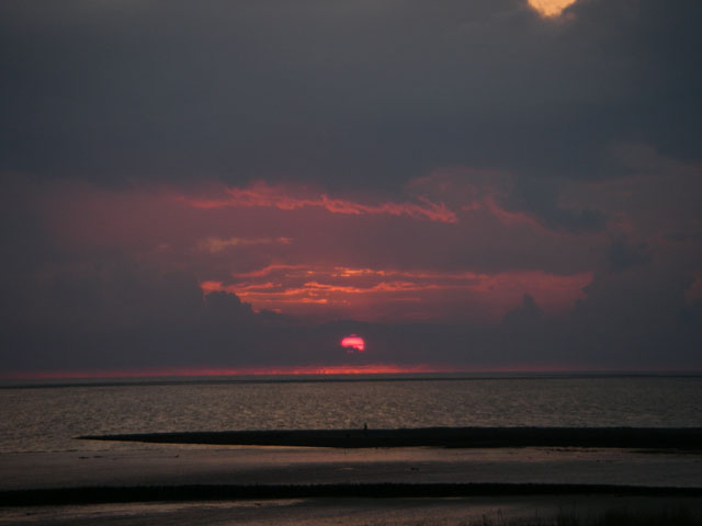 IMGP0081