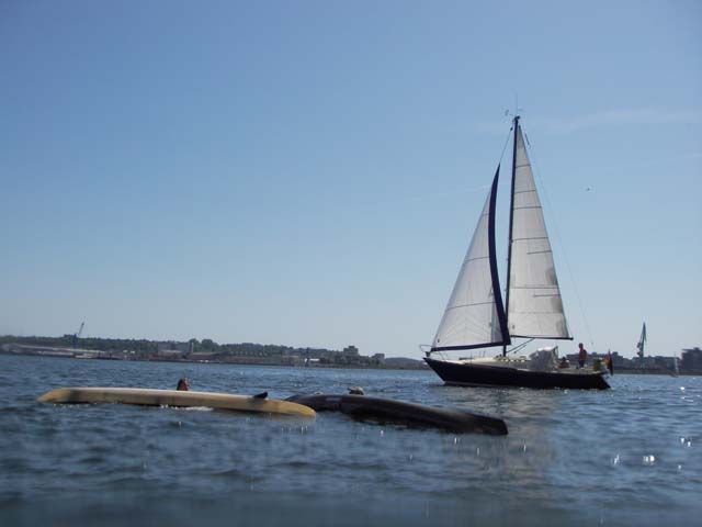IMGP4868