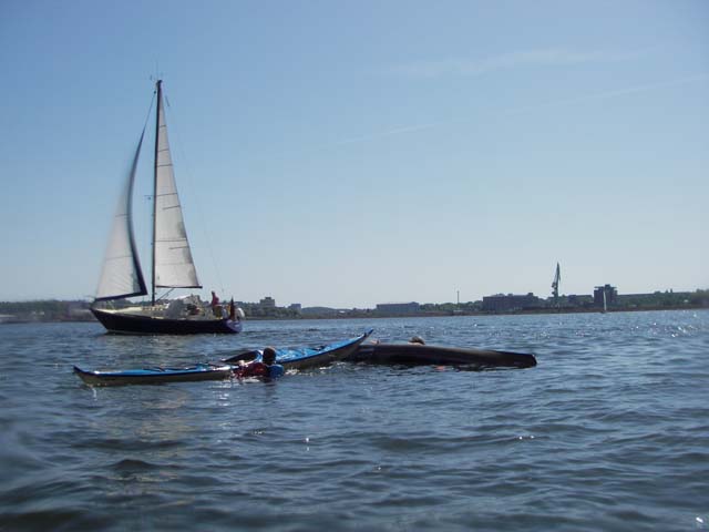 IMGP4870