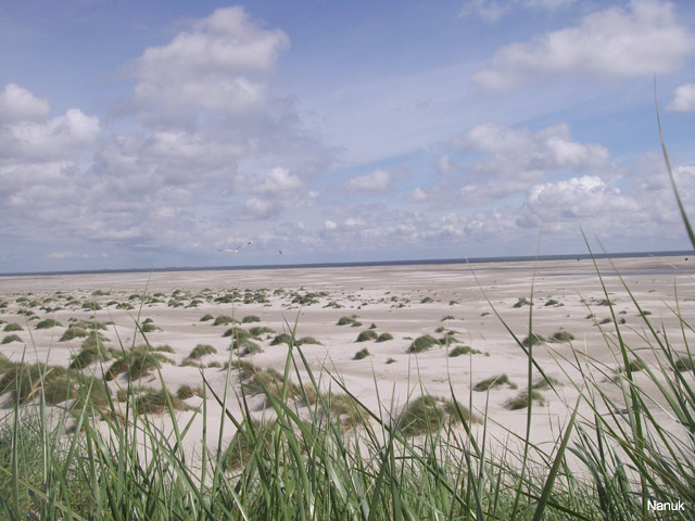 IMGP0343
