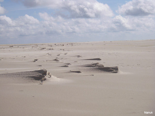 IMGP0346