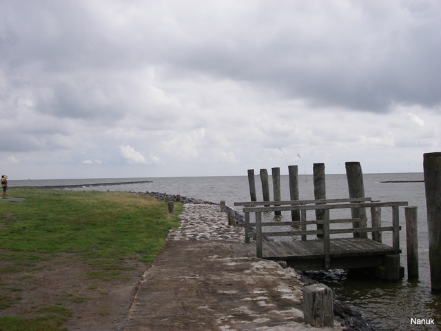 IMGP0357