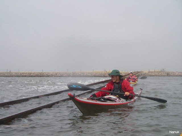 IMGP0985