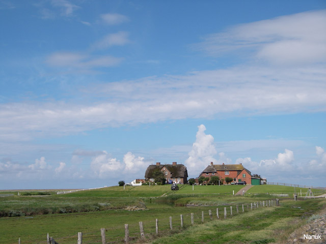 IMGP1078