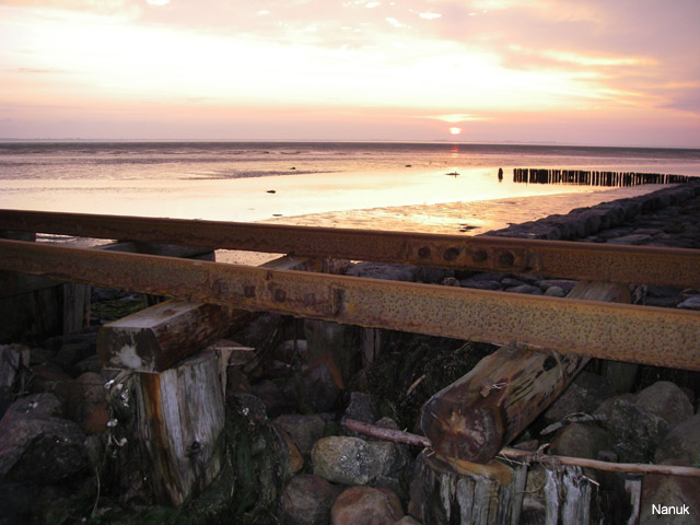 IMGP1219