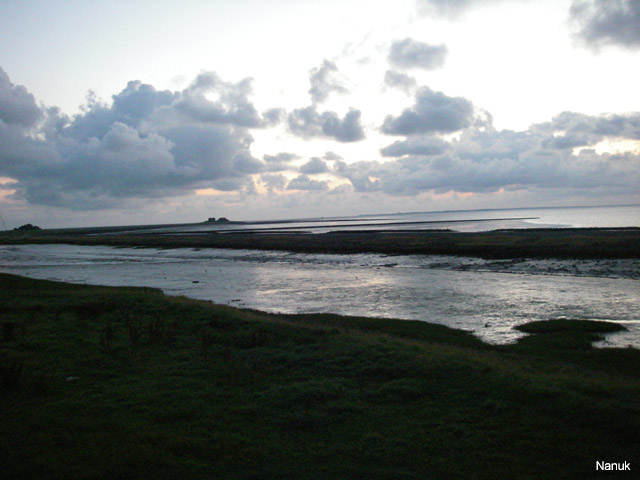 IMGP1270